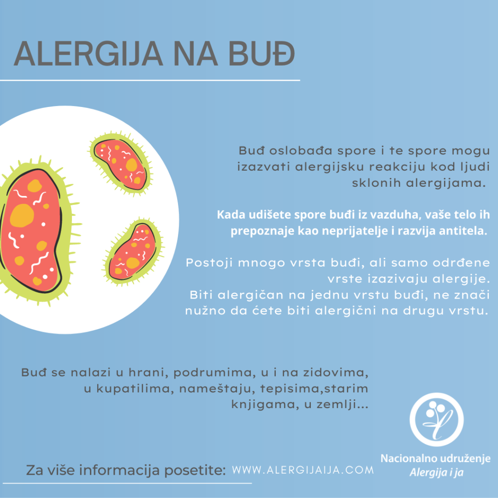alergija na buđ