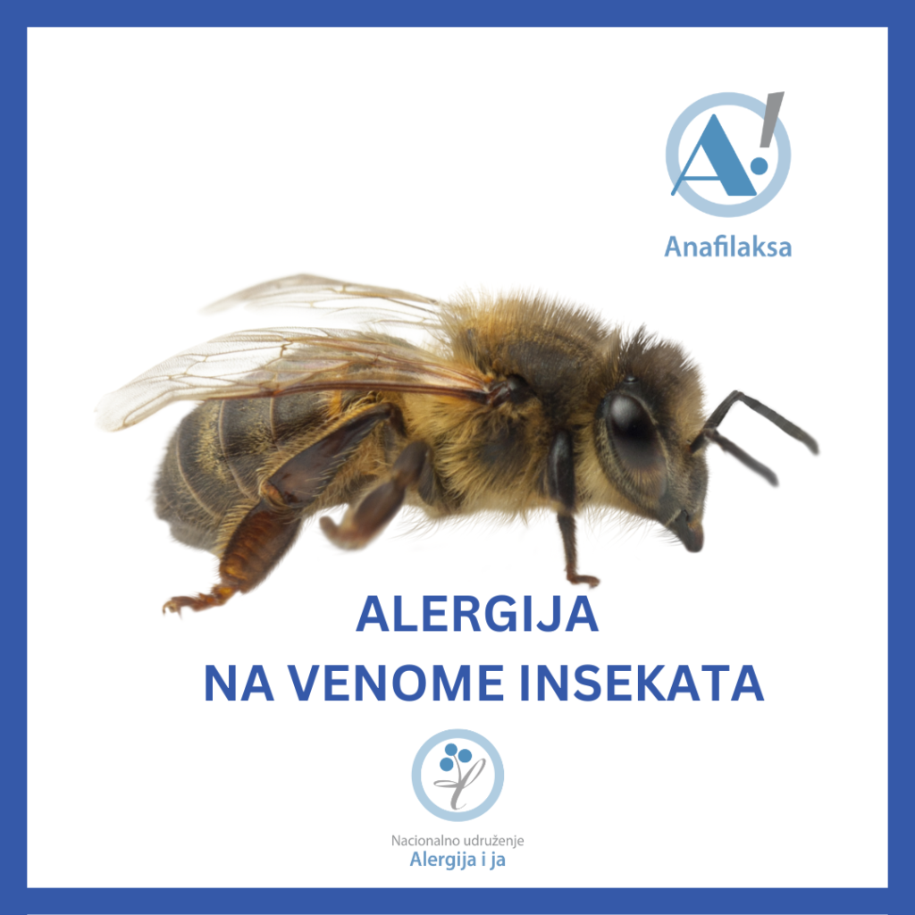 alergija na venome insekata